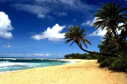 Download photo of Hawaiian beaches in high quality