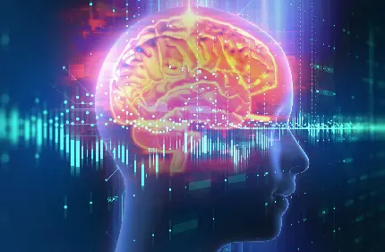 Background of the real human brain for tablets