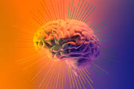 Real human brain background for Desktop