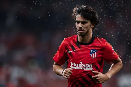 Joao Felix's photo in HD quality
