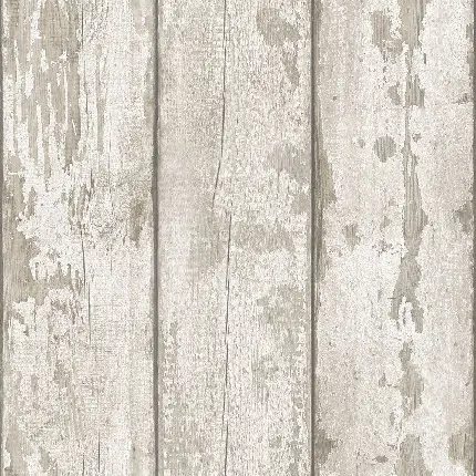 Beautiful picture of white wood texture Real