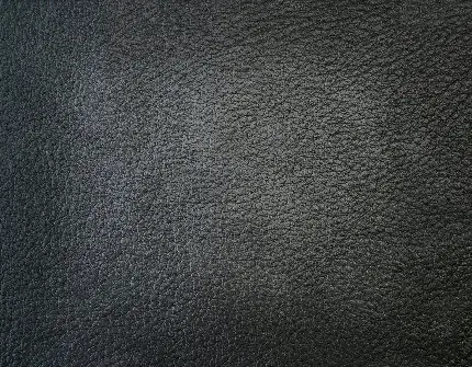 Download black leather material for 3ds Max