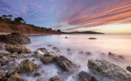Beautiful and relaxing photo of nature in high quality