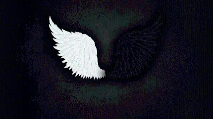 Download angel and devil wings photo wallpaper