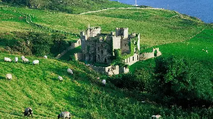 High quality dreamy nature photo of Ireland