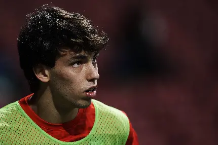 Joao Felix's photo in 4K quality Who