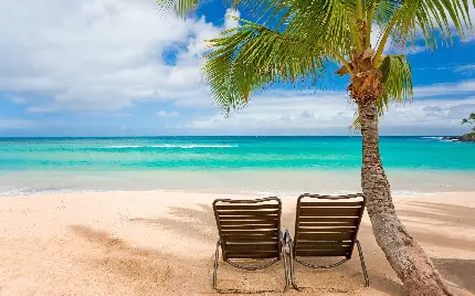 Photos of the spectacular green beaches in Hawaii