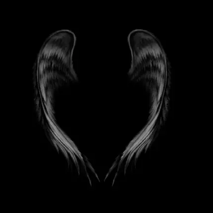 Download high quality angel wing photo for boy profile