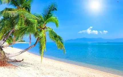 Caribbean sea photo in 4k quality
