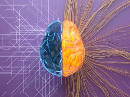 Photo of a human brain for computer wallpaper