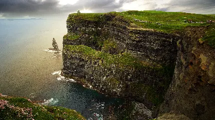 Real nature photo of Ireland
