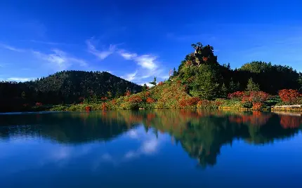 Beautiful and pleasant nature background in high quality