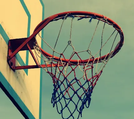 High quality photo of a close-up of the net Basketball