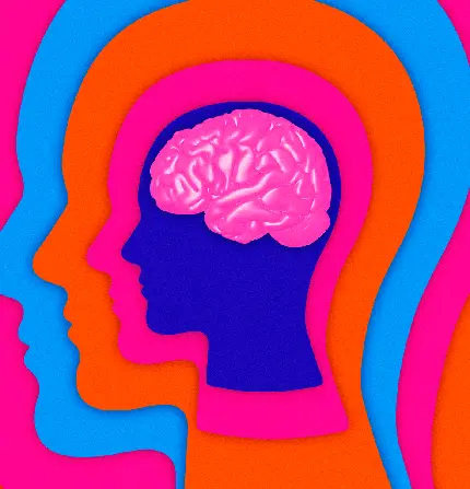 brain photo