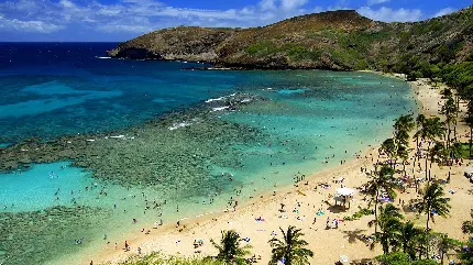 Photos of dreamy Hawaiian beaches and islands for profile