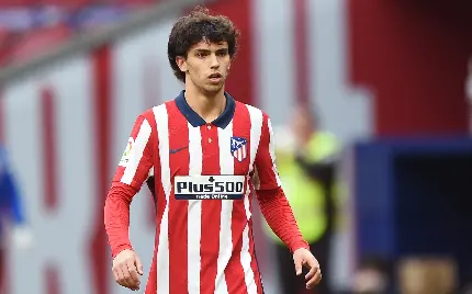 Joao Felix photo
