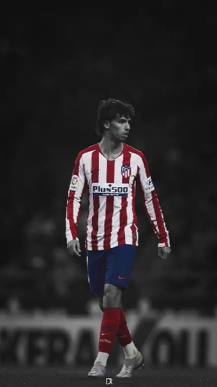 Joao Felix's photo in full HD quality