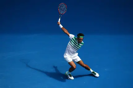 Download Roger Federer photo in full hd quality