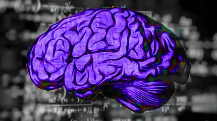 Photo of blue brain with dark background