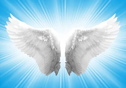 Angel wing writing photo for writing text