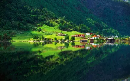 Dreamy nature photo of Ireland for Profile