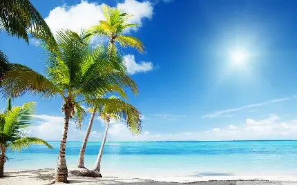 Caribbean beach photos in summer in HD quality