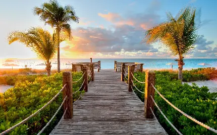 Photos of attractive Caribbean beaches and the most beautiful destinations in the world