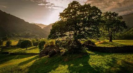 Dream nature photo for Northern Ireland wallpaper