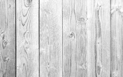 Free download of white wood texture