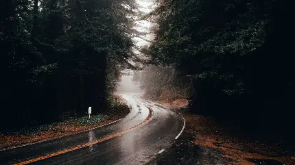 Rainy Road Photo for HD Profile