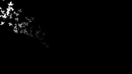 Download black wallpaper for computer hd