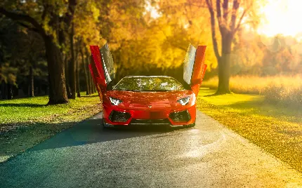 The coolest car photo for profile Lamborghini Aventador with open door