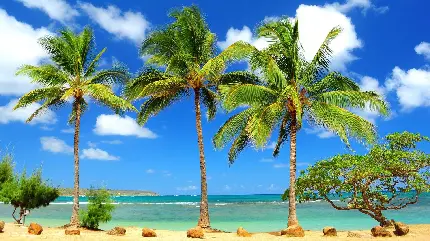 Dream Caribbean beaches and islands photos for profile