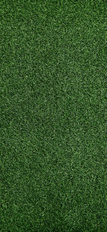 A very beautiful grass texture for designers and Architects