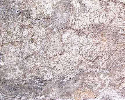 Free download cement texture