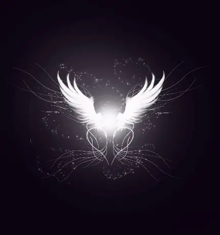 4k quality angel wings photo