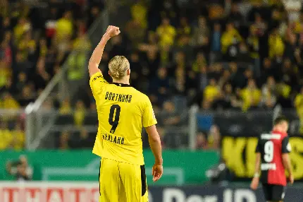 Latest Erling Haaland Photos with Complete Biography