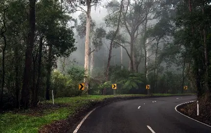 High Quality Rainy and Dreamy Weather Photo hd