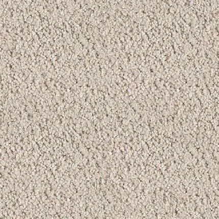 Download the white carpet texture vector image from Johre