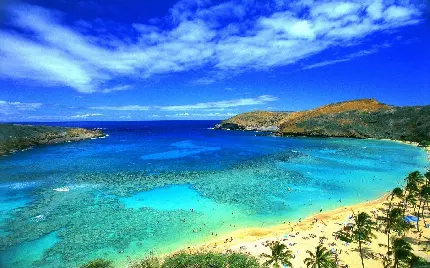 Photos of the most amazing tourist attractions on the island of Hawaii