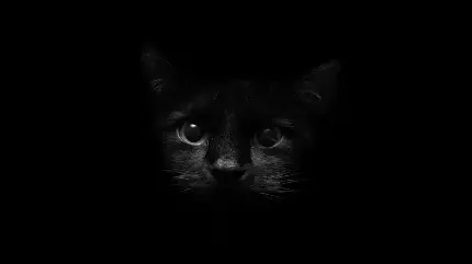 Full HD wallpaper for black computer Cool