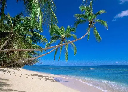 Photo of Hawaiian beaches in full hd quality