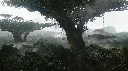Beautiful and spectacular forest photo