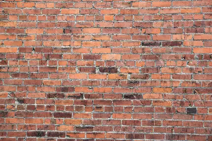 High quality light colored brick texture and material