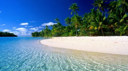 High quality Caribbean sea photos