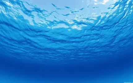 Excellent and very useful sea water texture