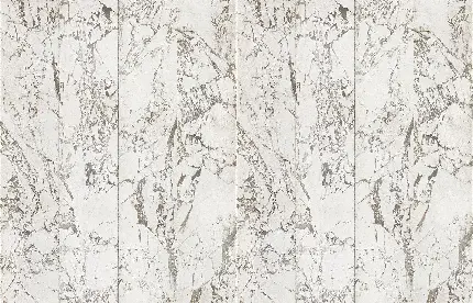 Marble texture background vector