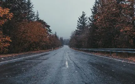 High quality rainy road wallpapers