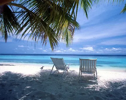 Photos Caribbean Sea HD Quality