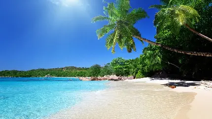 Caribbean beach photos for HD quality profiles